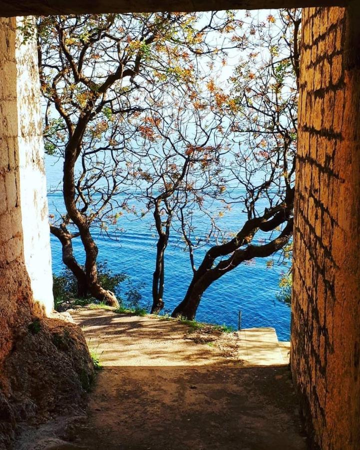 Eden Mediterranean House Vrsine Екстериор снимка